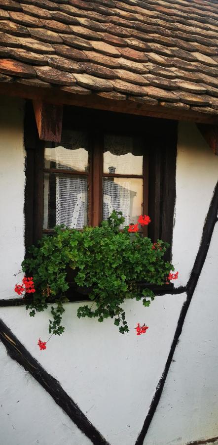 Etno Domacinstvo Miris Bosiljka Apartment Mislodin Exterior foto